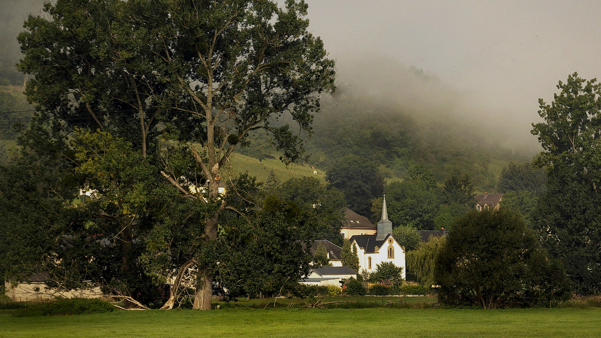 di nei Ekipp stellt sech vir